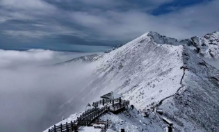 在太白山
