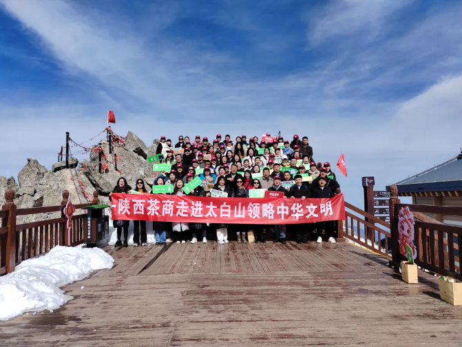 茶商走進(jìn)太白山